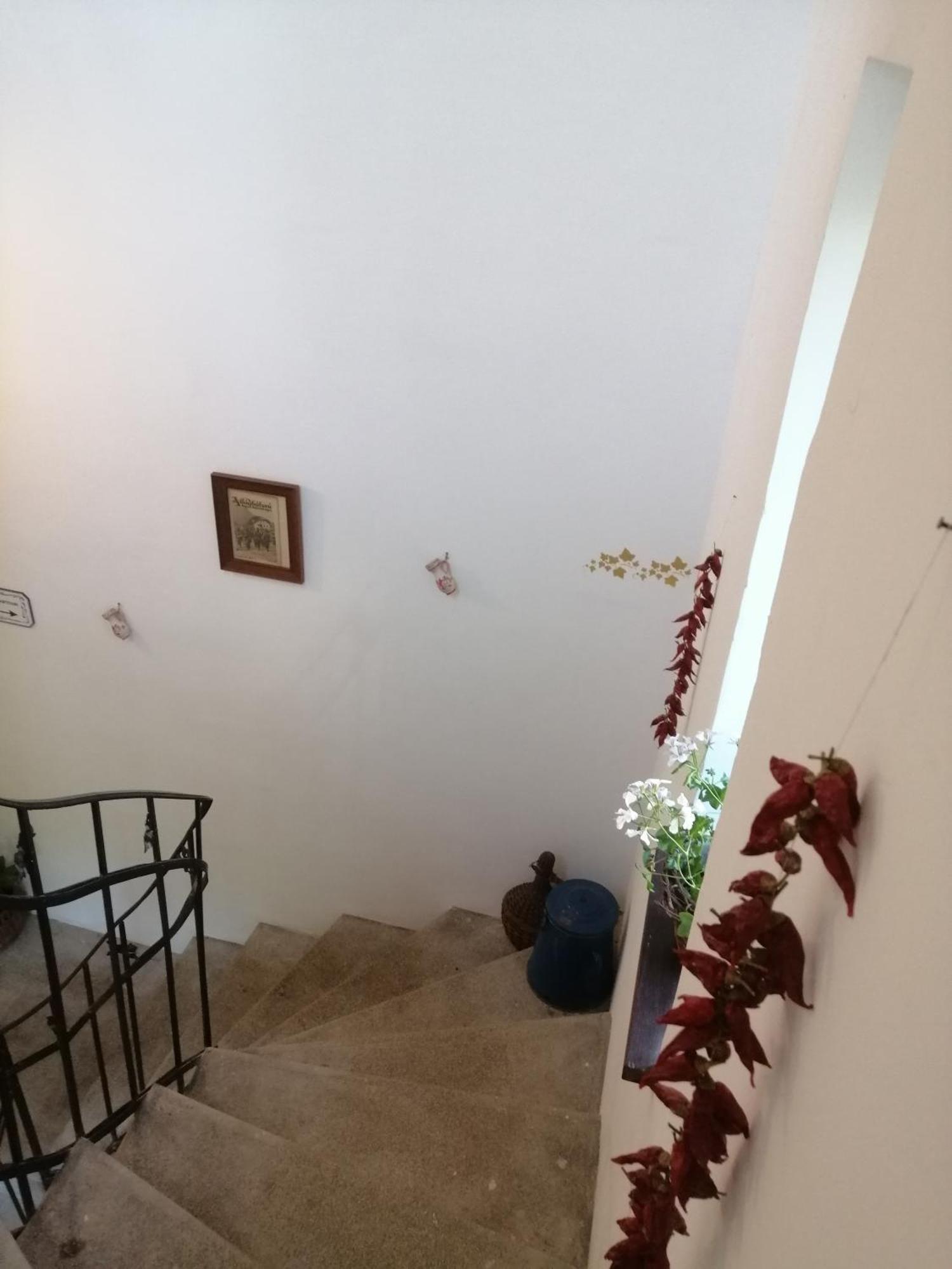 Kuria With Private Jacuzzi And Pool Appartement