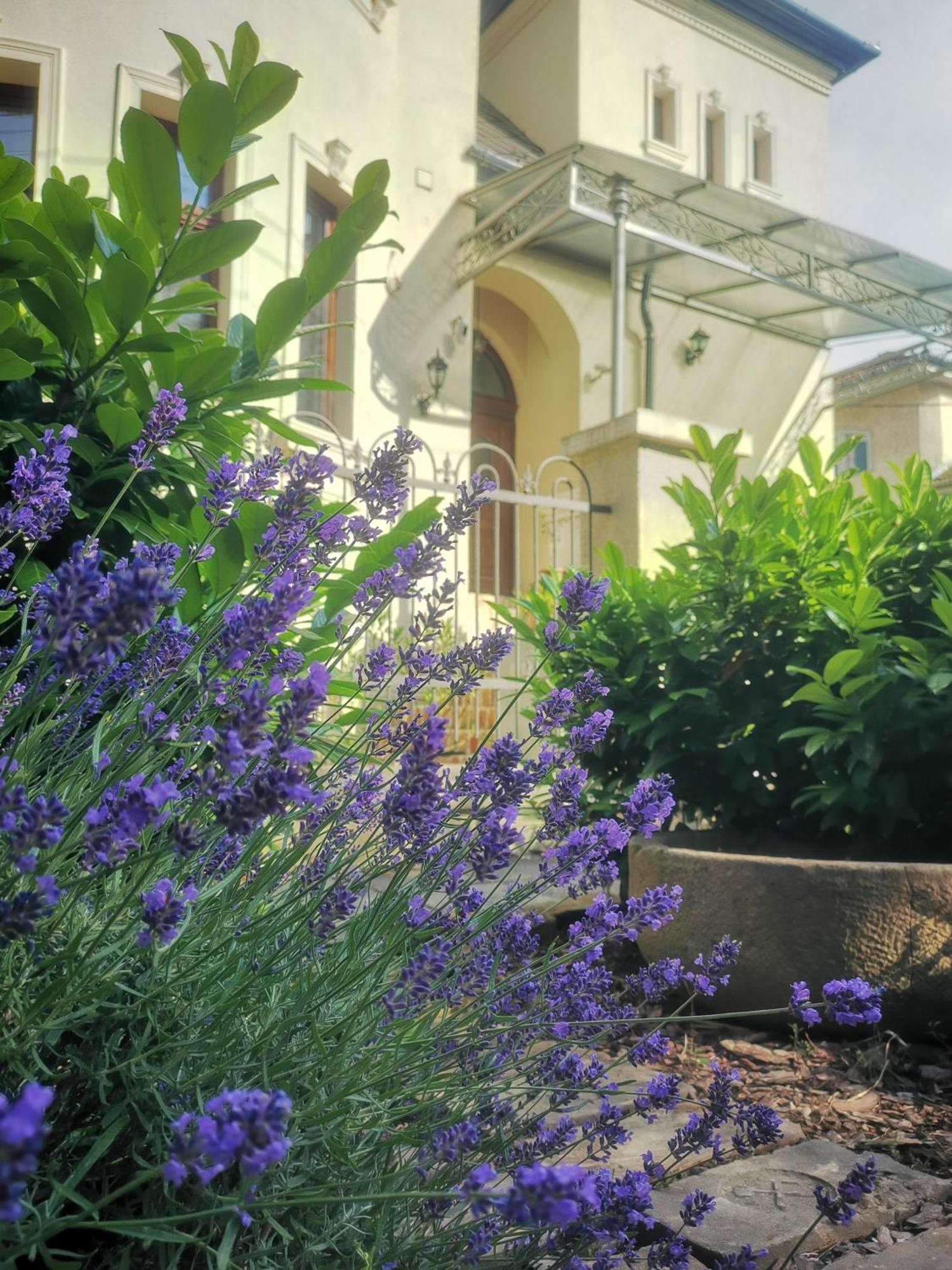 Kuria With Private Jacuzzi And Pool Appartement Boedapest