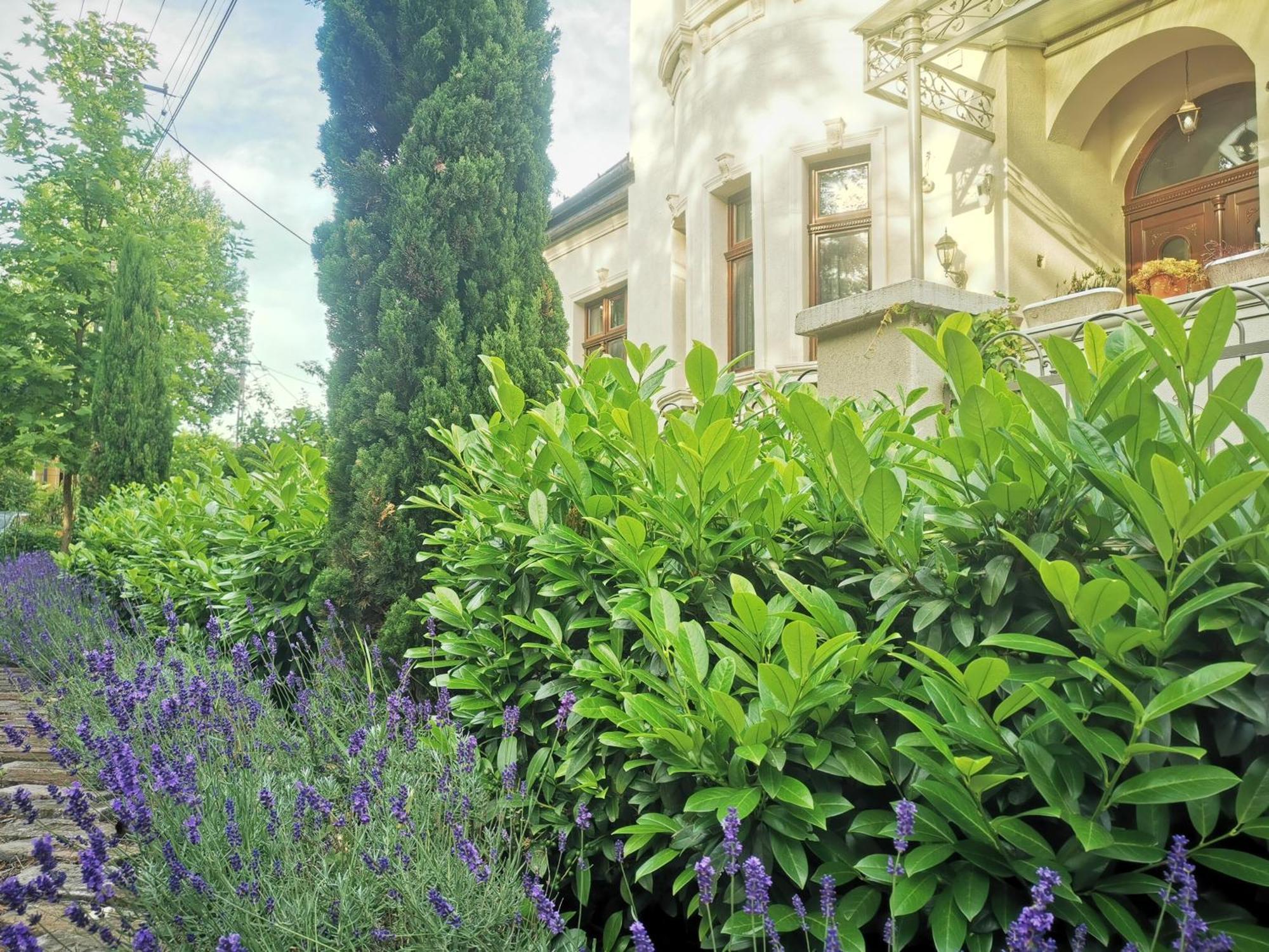 Kuria With Private Jacuzzi And Pool Budapest