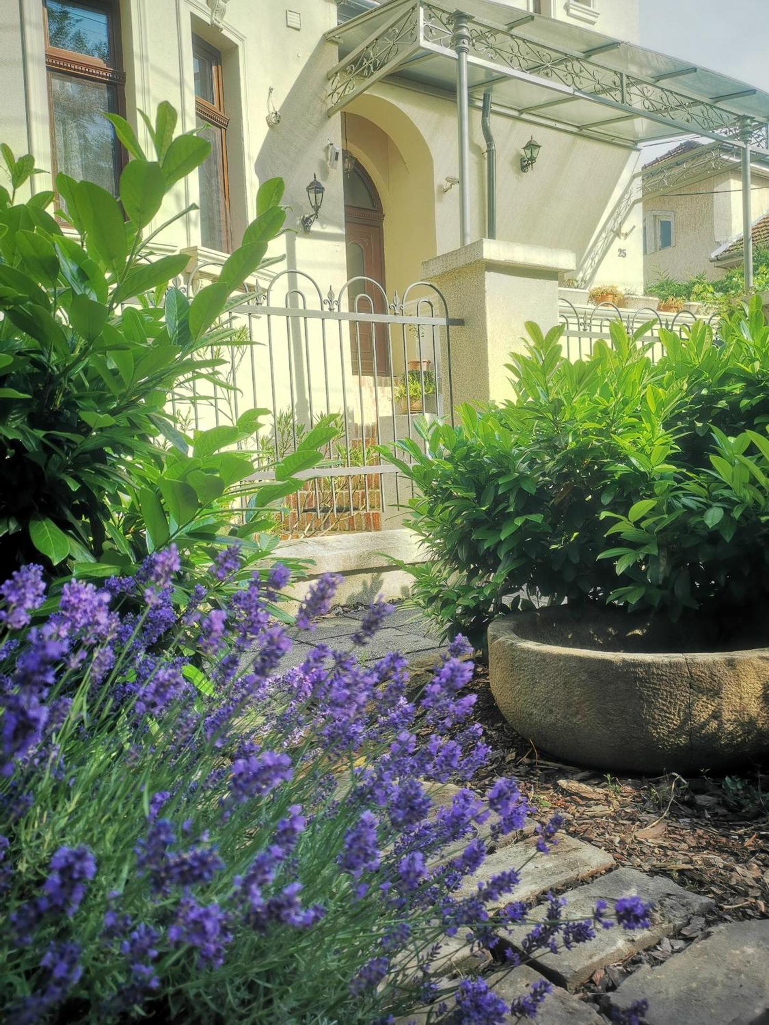 Kuria With Private Jacuzzi And Pool * Boedapest