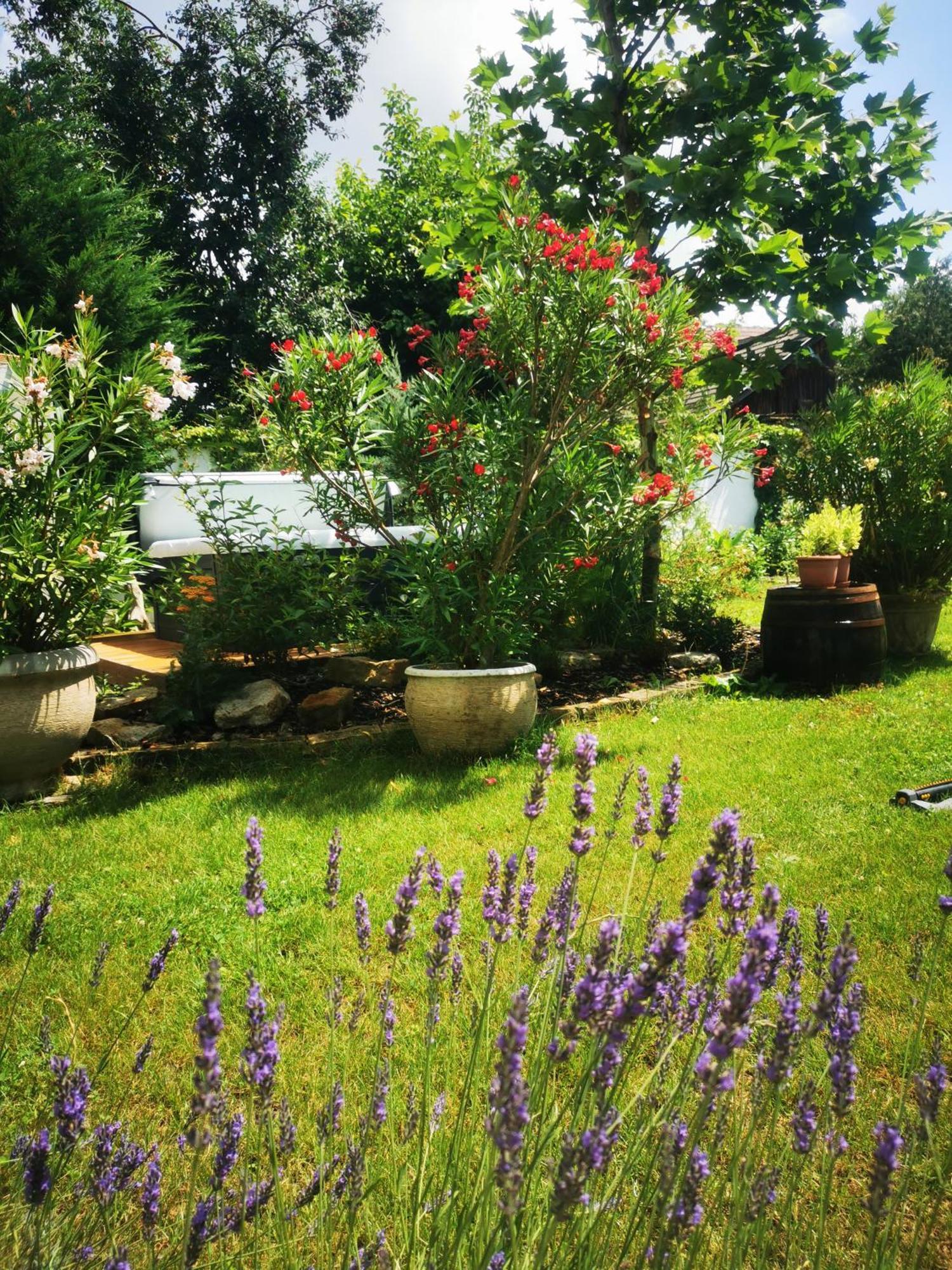 Kuria With Private Jacuzzi And Pool Appartement Boedapest