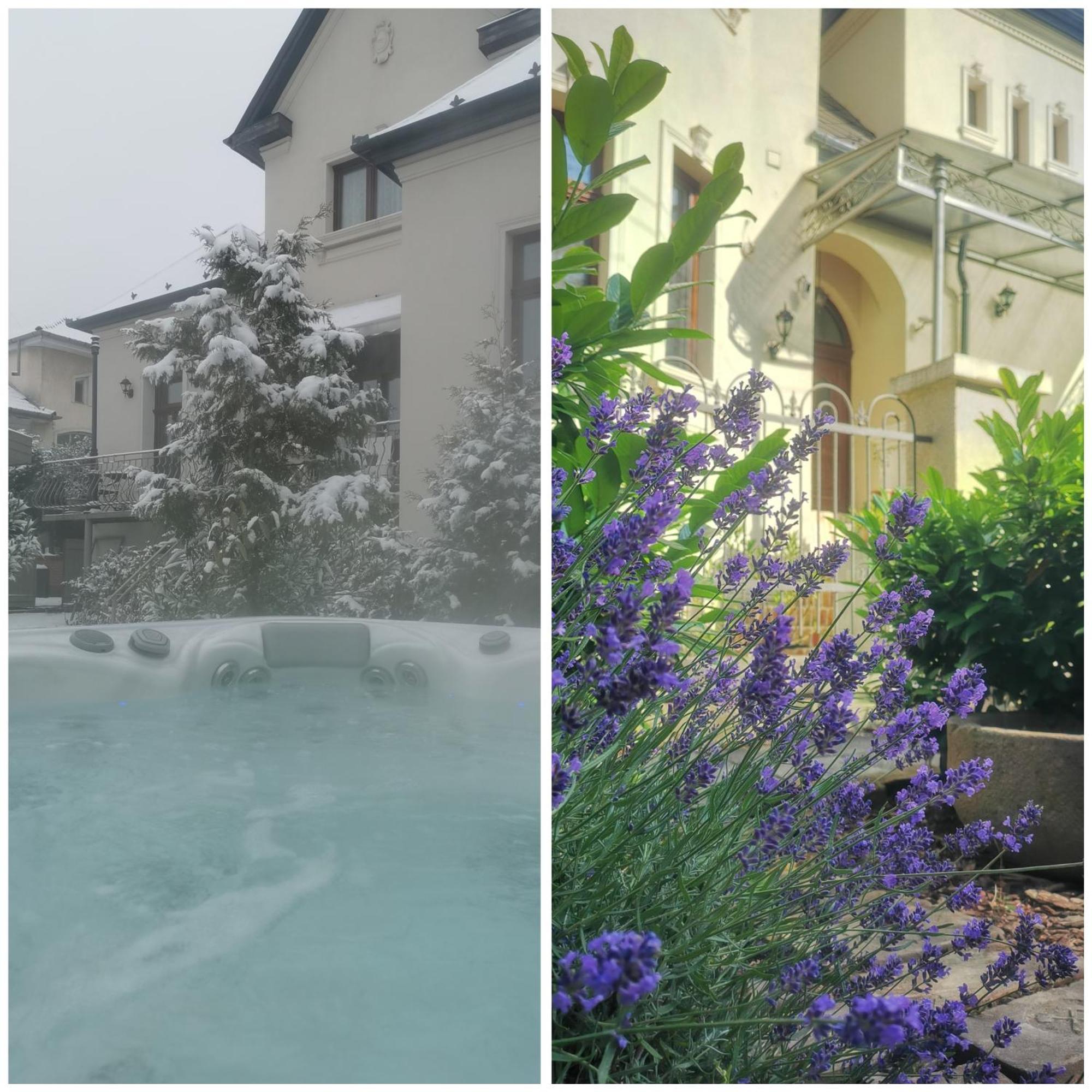Kuria With Private Jacuzzi And Pool Apartment *